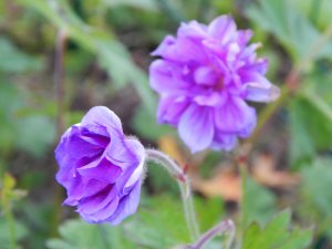 DSCN1624.JPG