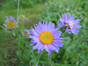 DSCN1628.JPG
