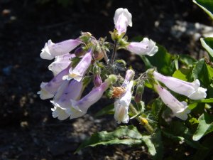 DSCN1680.JPG