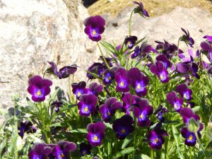 DSCN1689.JPG