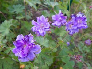 DSCN1714.JPG