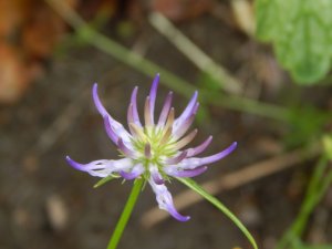 DSCN1778.JPG