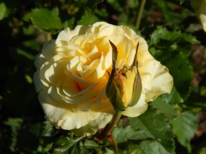 DSCN1824.JPG