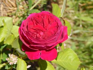 DSCN1825.JPG