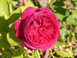 DSCN1827.JPG