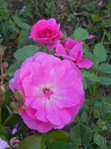 DSCN1858.JPG