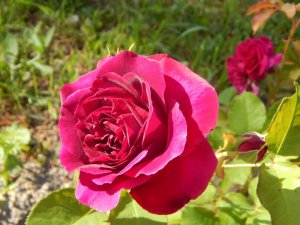 DSCN1909.JPG