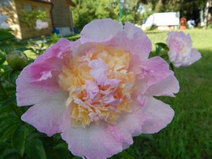 DSCN1915.JPG