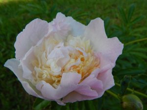 DSCN1916.JPG