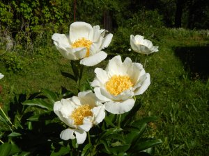 DSCN1943.JPG