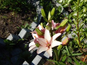 DSCN1818.JPG