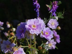 DSCN1814.JPG