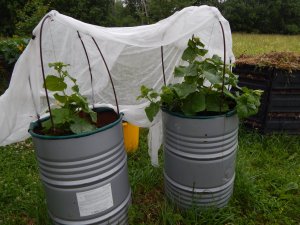 DSCN2039.JPG