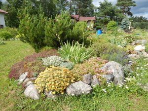 DSCN2058.JPG