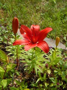 DSCN2129.JPG