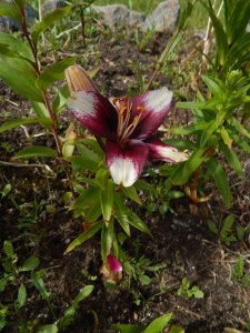 DSCN2144.JPG