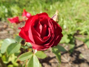 DSCN2074.JPG