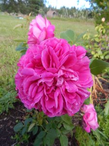 DSCN2084.JPG