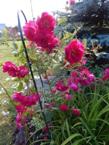 DSCN2102.JPG