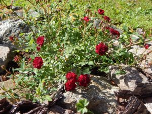 DSCN2108.JPG