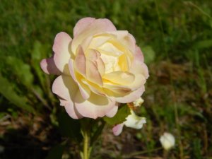 DSCN2116.JPG