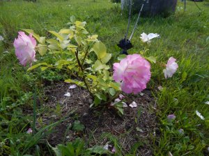 DSCN2122.JPG