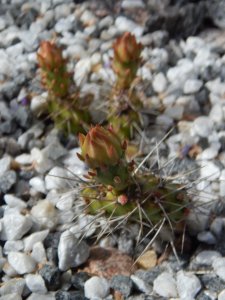 DSCN2061.JPG