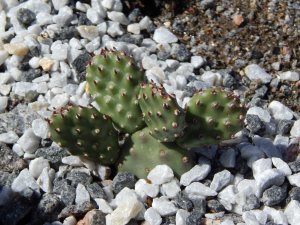 DSCN2068.JPG