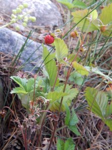 DSCN2151.JPG