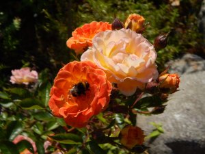 DSCN2158.JPG