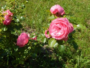 DSCN2162.JPG