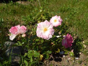 DSCN2167.JPG