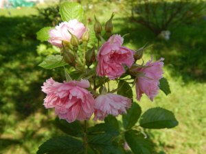 DSCN2190.JPG