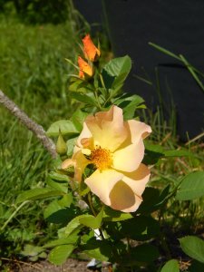 DSCN2196.JPG