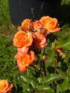 DSCN2198.JPG