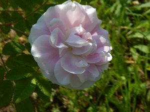 DSCN2201.JPG