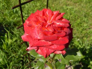 DSCN2202.JPG