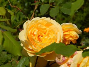 DSCN2209.JPG