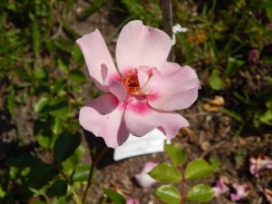 DSCN2218.JPG