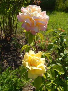 DSCN2261.JPG