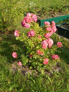 DSCN2281.JPG