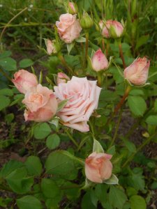 DSCN2345.JPG