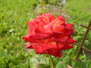 DSCN2420.JPG