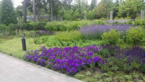 19657045_2042639915957089_2078261157653422829_n.jpg