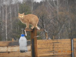 лето2014 245.jpg