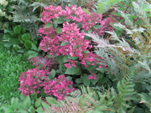 IMG_6204.JPG