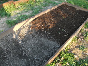 DSCF2510.JPG