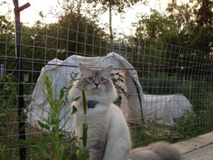 IMG_0642.jpg