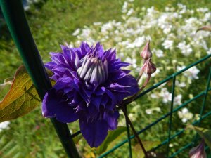 DSCN2220.JPG
