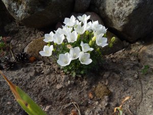 DSCN2316.JPG